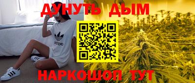 молекула духа Шебекино