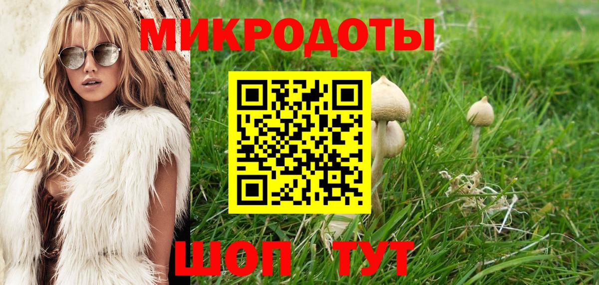 Галлюциногенные грибы MAGIC MUSHROOMS Ахтубинск